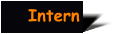 Intern