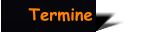 Termine